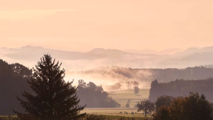 Landschaft in der Schweiz mit Wiesen und Bergen